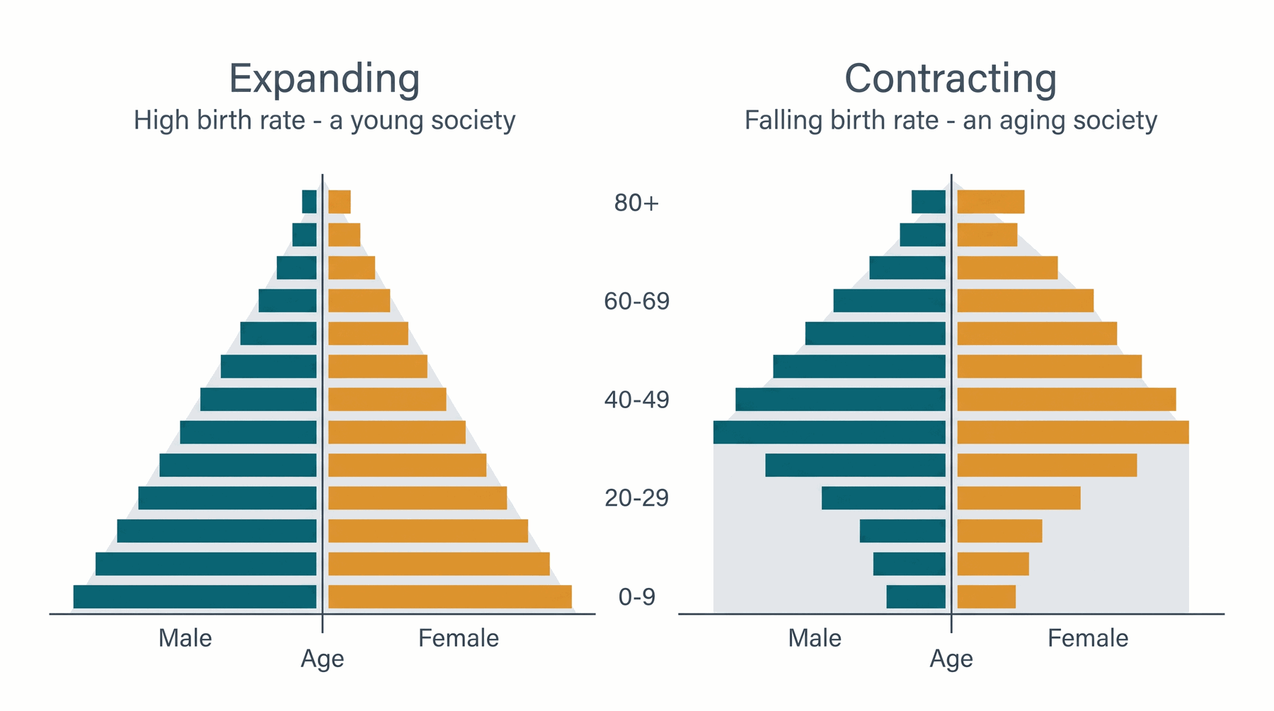 Wide base = lots of young people = high birth rate, a growing/young society. Narrow base with a bulge higher up = falling birth rate, an aging society.